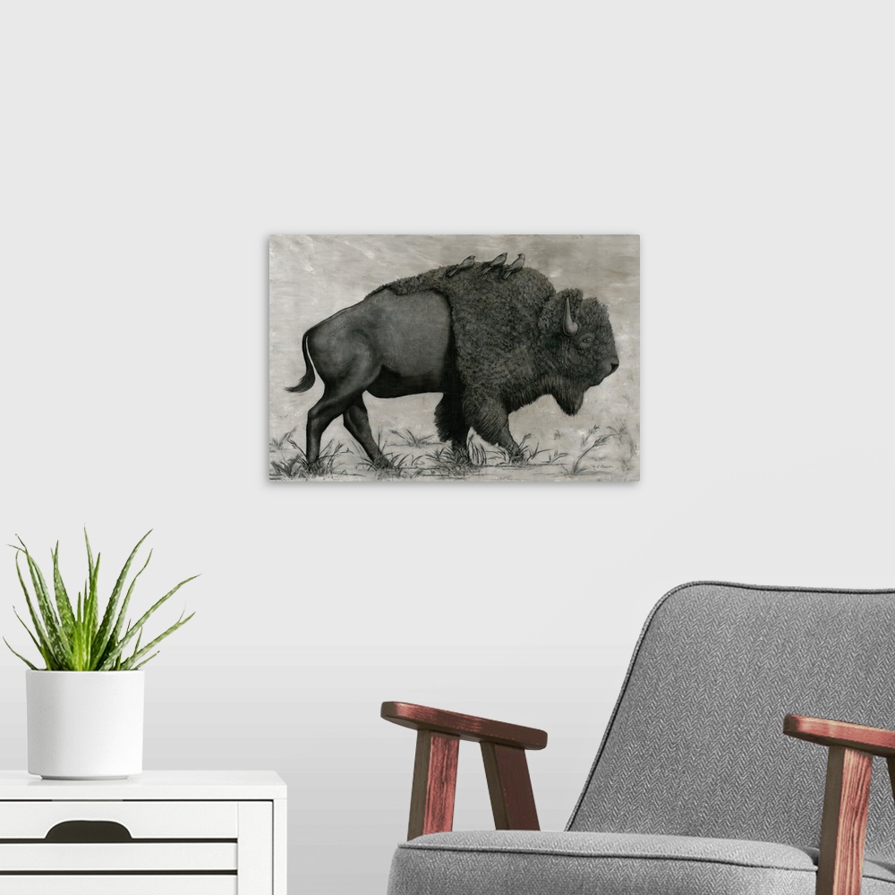 A modern room featuring Basking Buffalo