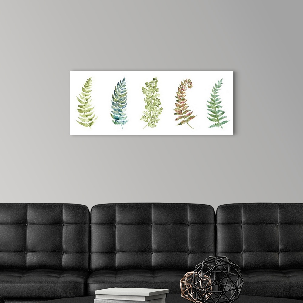A modern room featuring A horizontal watercolor design of a row of fern leaves in shades of green.