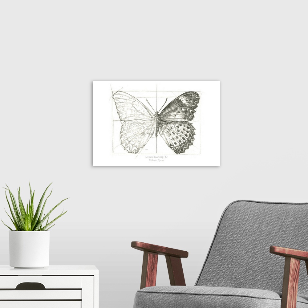 A modern room featuring Butterfly Sketch landscape II