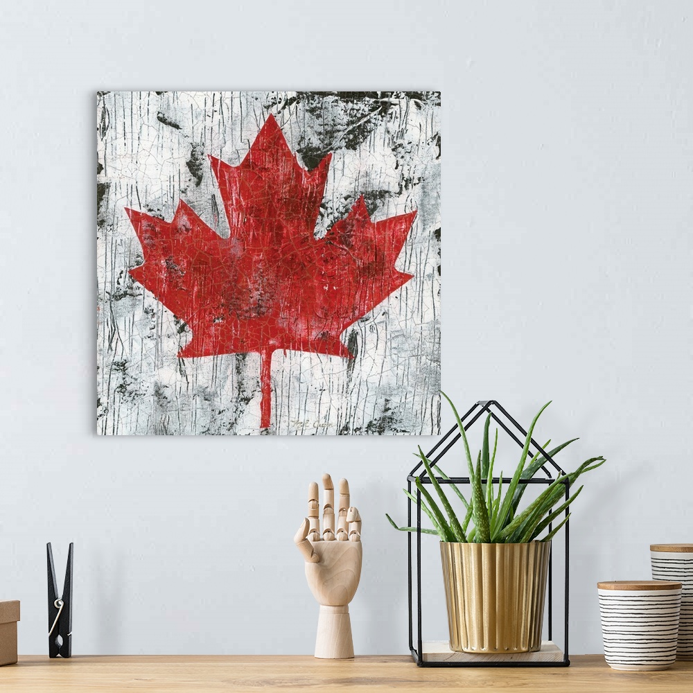 A bohemian room featuring Canada Maple Leaf I