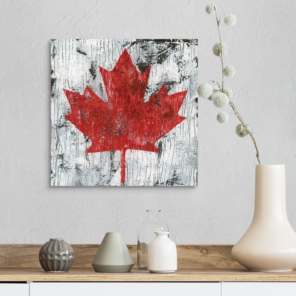 A farmhouse room featuring Canada Maple Leaf I