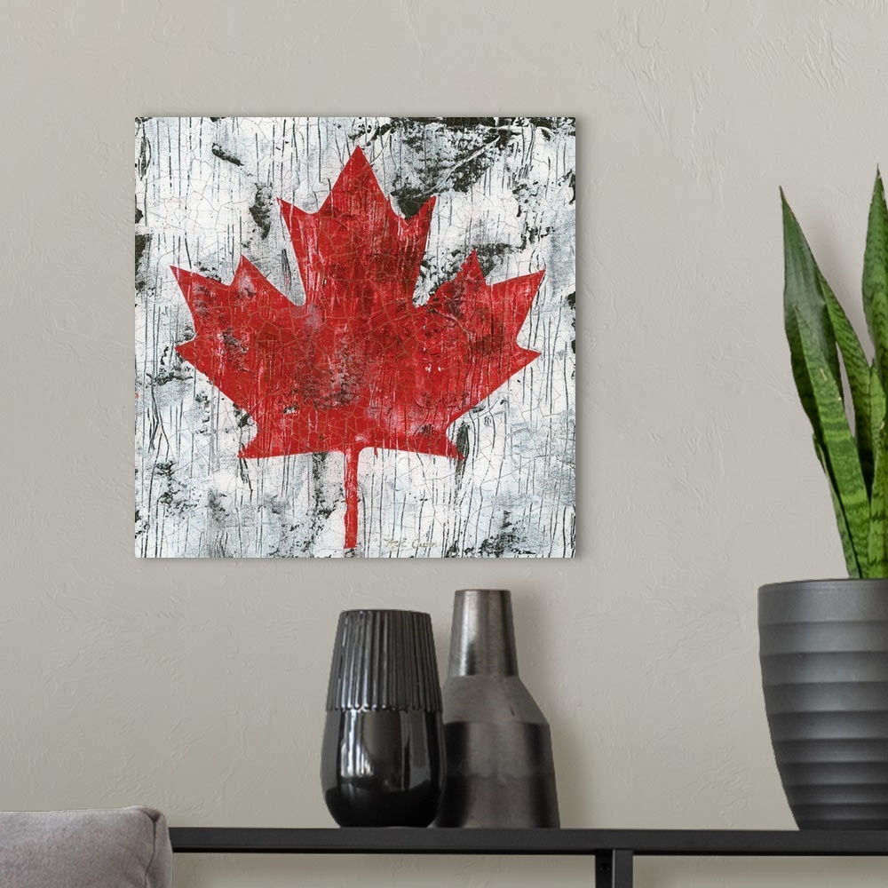 A modern room featuring Canada Maple Leaf I