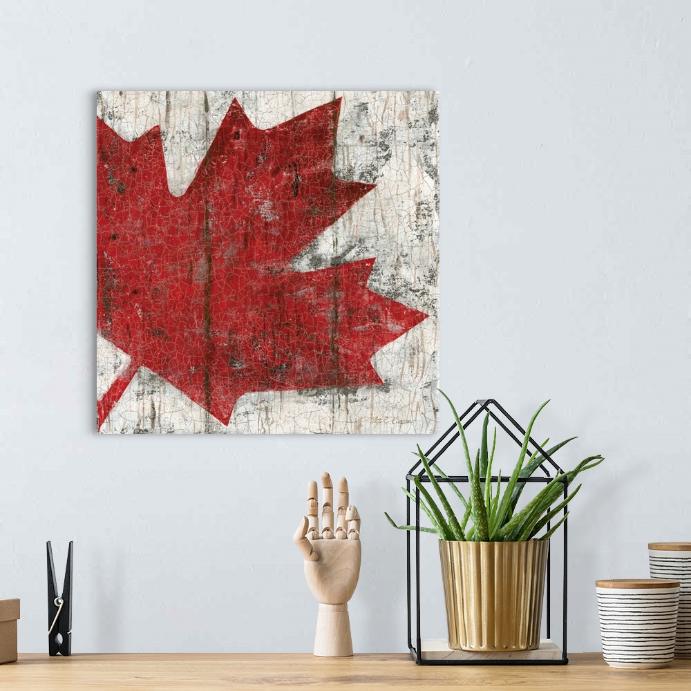 A bohemian room featuring Canada Maple Leaf II