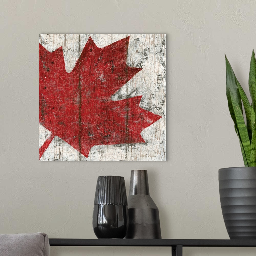A modern room featuring Canada Maple Leaf II