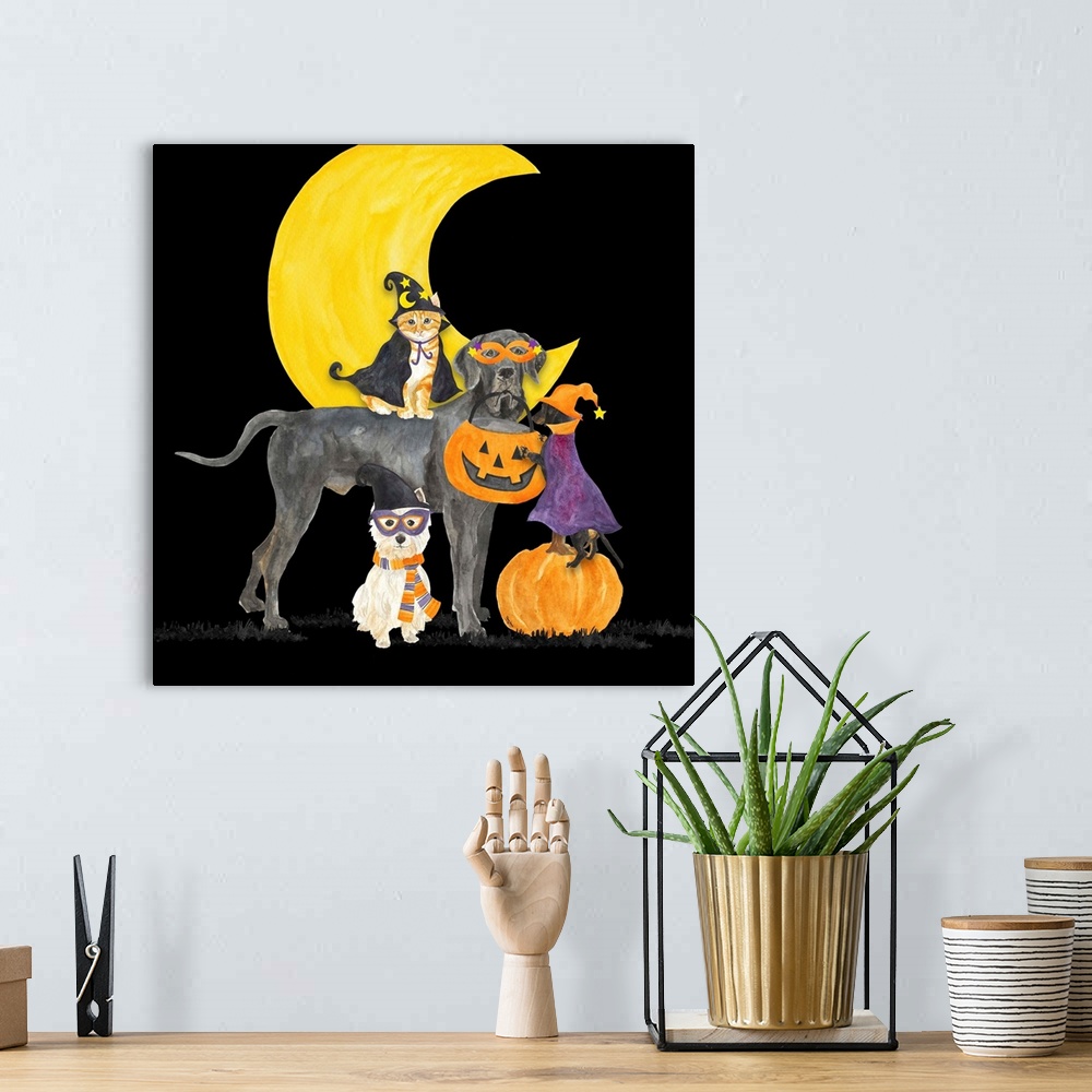 A bohemian room featuring Fright Night Friends II Dog with Pumpkin