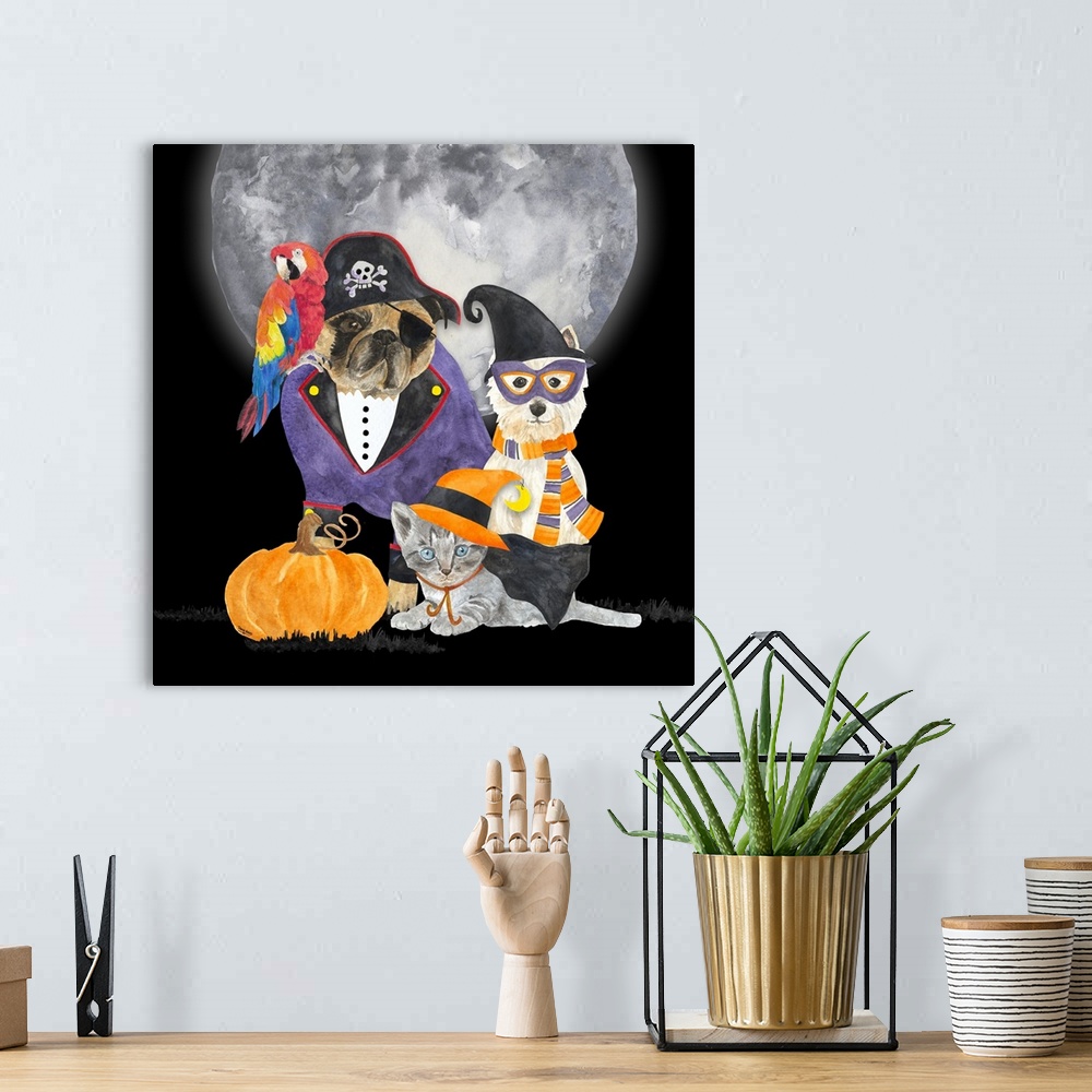 A bohemian room featuring Fright Night Friends III Pirate Pug