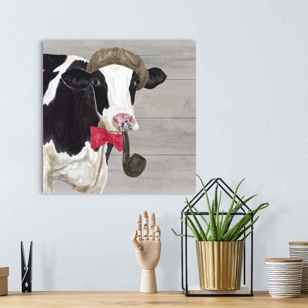A bohemian room featuring A black and white cow with a hat on head and pipe in mouth against of grey wood background.