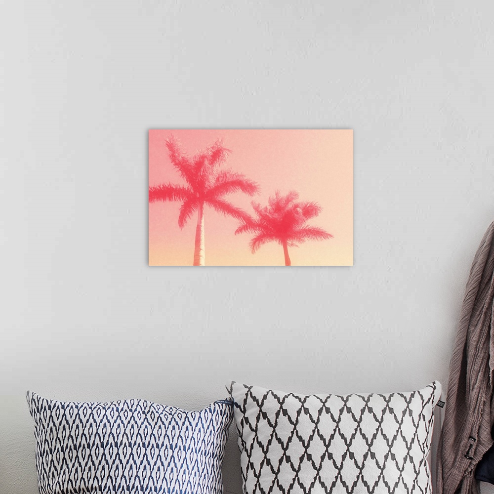 A bohemian room featuring Image of two palm trees against a clear sky in shades of pink.