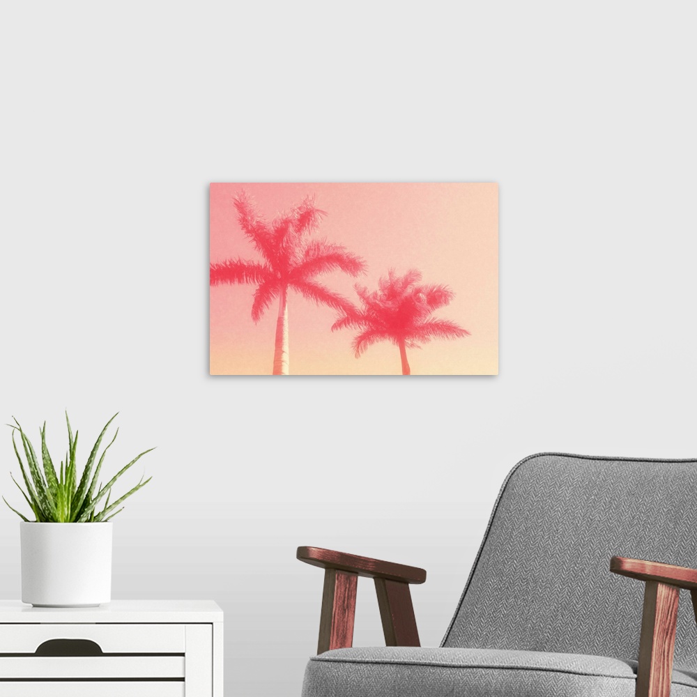 A modern room featuring Image of two palm trees against a clear sky in shades of pink.