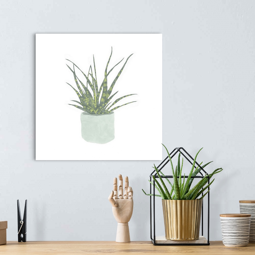 A bohemian room featuring Snake Plant I