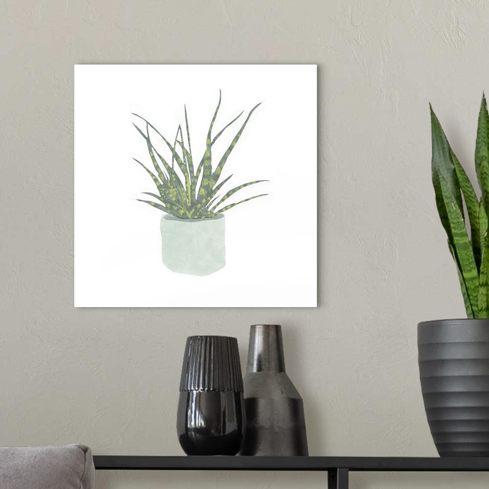 A modern room featuring Snake Plant I