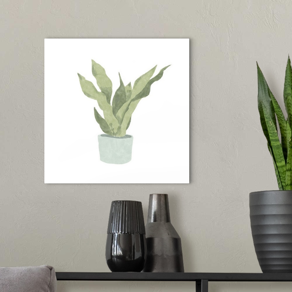 A modern room featuring Snake Plant II
