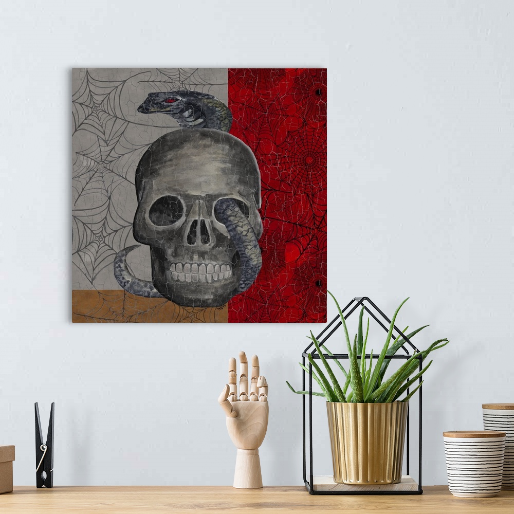 A bohemian room featuring A square decorative image of a human skull with a snake wrapped around it, surrounded by webs wit...