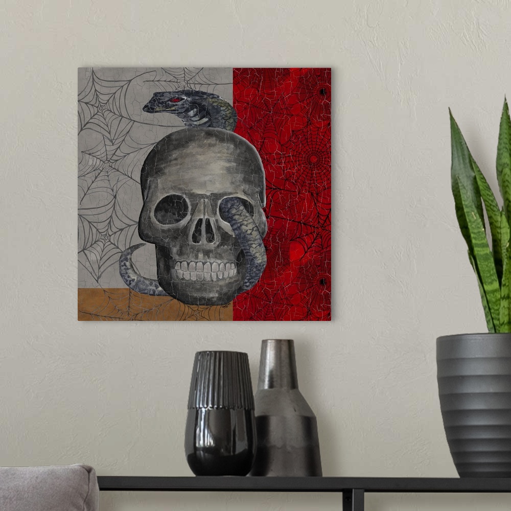 A modern room featuring A square decorative image of a human skull with a snake wrapped around it, surrounded by webs wit...
