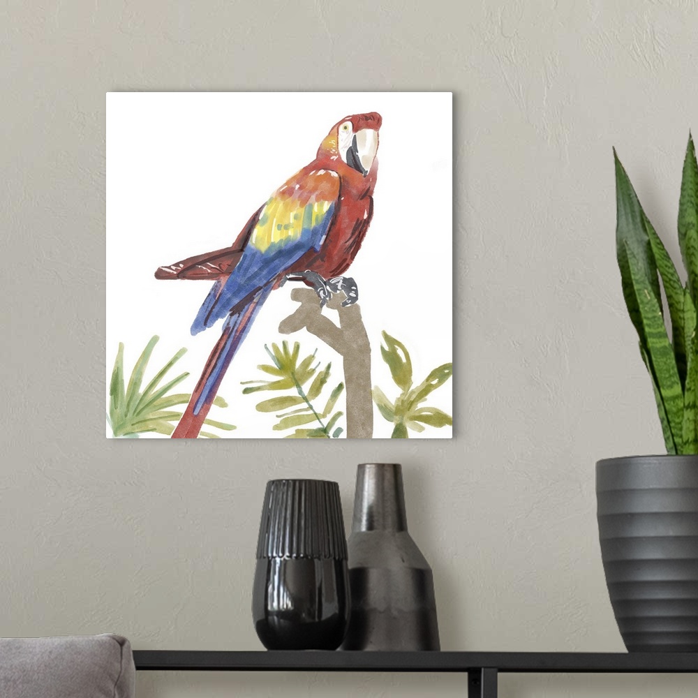 A modern room featuring Tropical Parrot