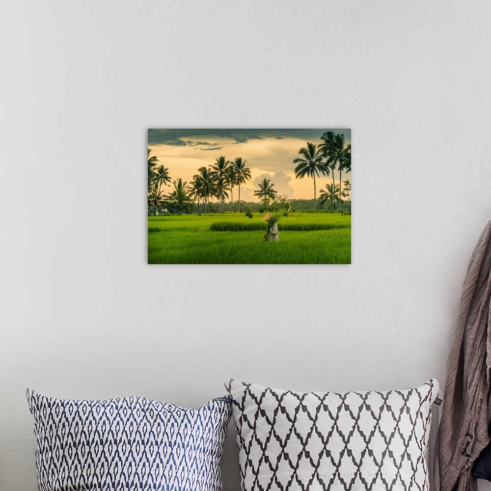 A bohemian room featuring View of a Balinese wearing a typical conical hat working in the paddy fields, Sidemen, Kabupaten ...