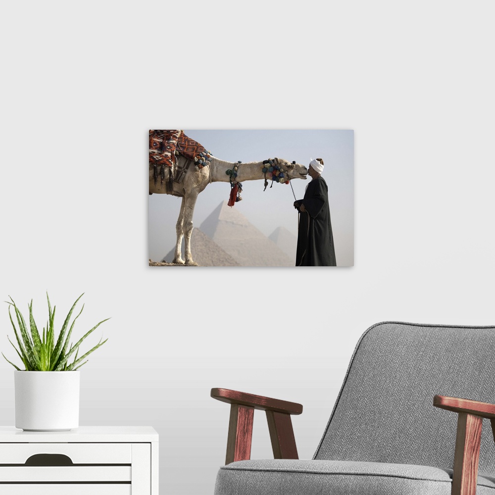 A modern room featuring A Bedouin guide with his camel, overlooking the Pyramids of Giza, Cairo, Egypt