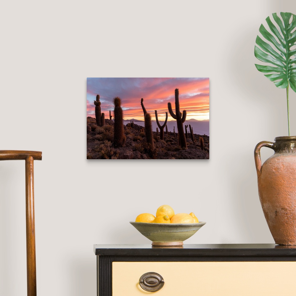 A traditional room featuring A forest of giant cardon cactus (Echinopsis atacamensis) at sunset on Isla Incahuasi, on the Sala...