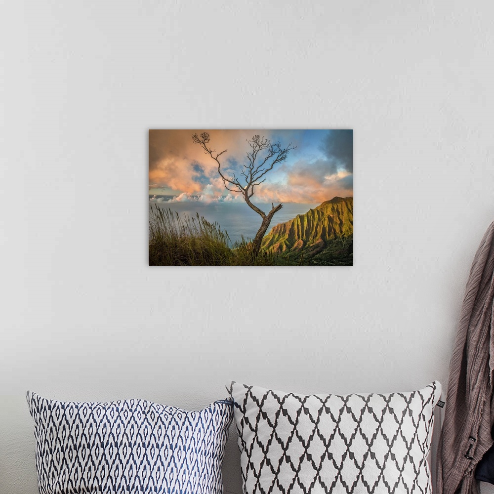A bohemian room featuring A lone acacia koa tree stretches up to the colorful sunset clouds over the Kalalau Valley, Kokee ...
