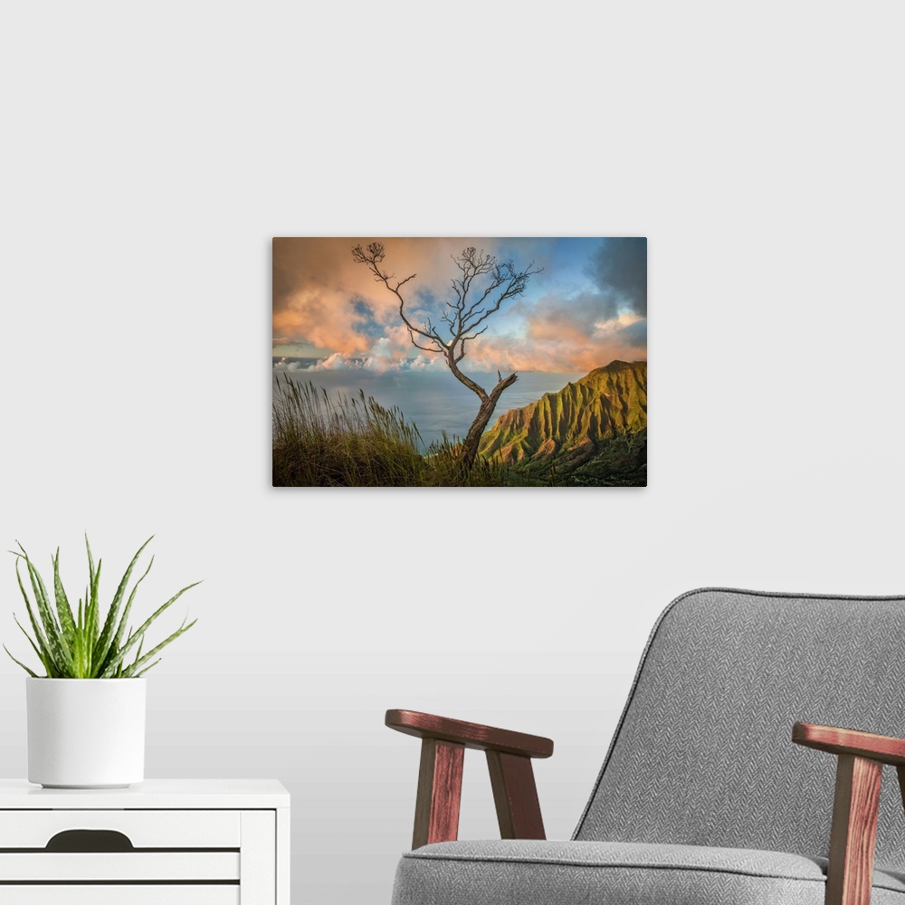 A modern room featuring A lone acacia koa tree stretches up to the colorful sunset clouds over the Kalalau Valley, Kokee ...