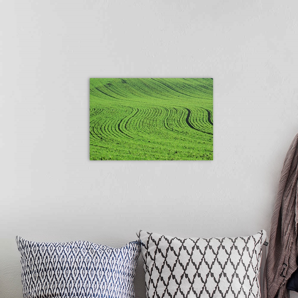A bohemian room featuring Abstract landscape of a green field