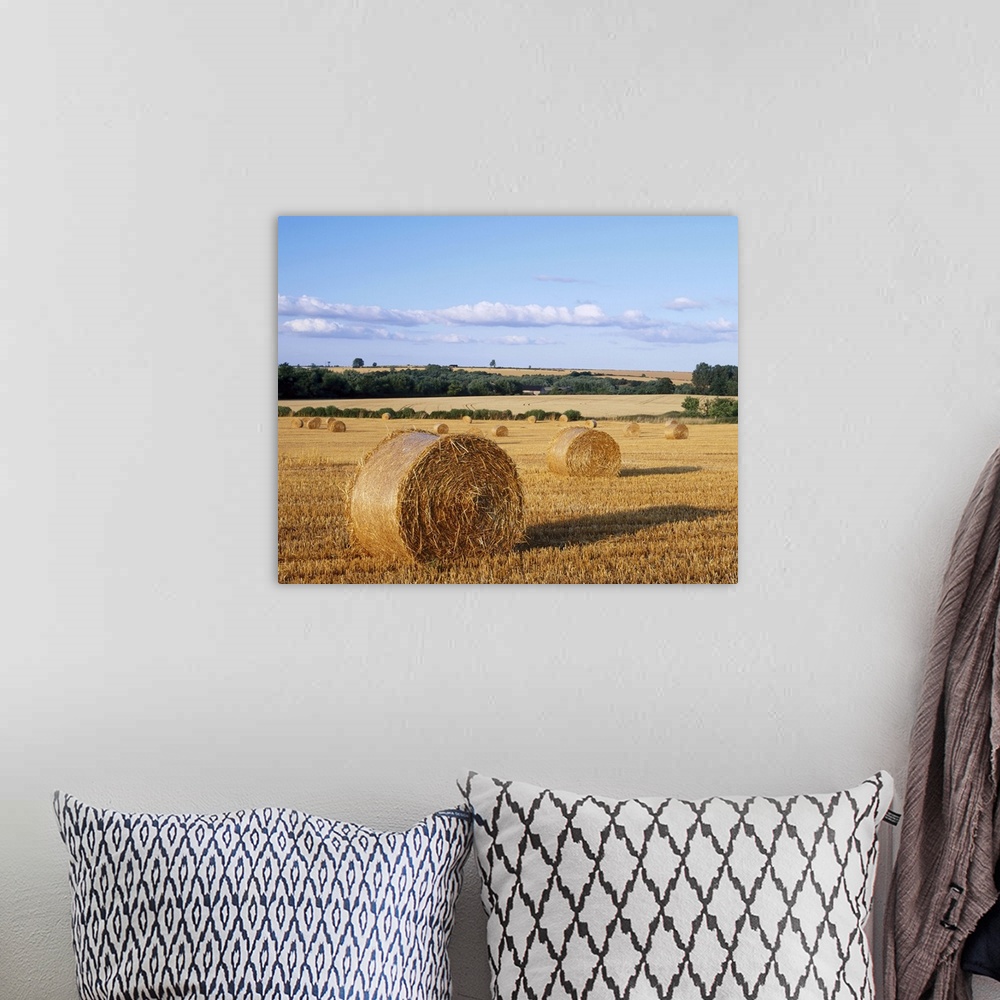 A bohemian room featuring Agricultural landscape with straw bales in a cut wheat field