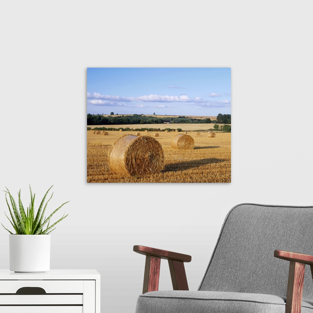 A modern room featuring Agricultural landscape with straw bales in a cut wheat field