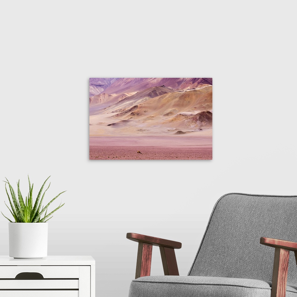 A modern room featuring Atacama Desert, Chile, South America