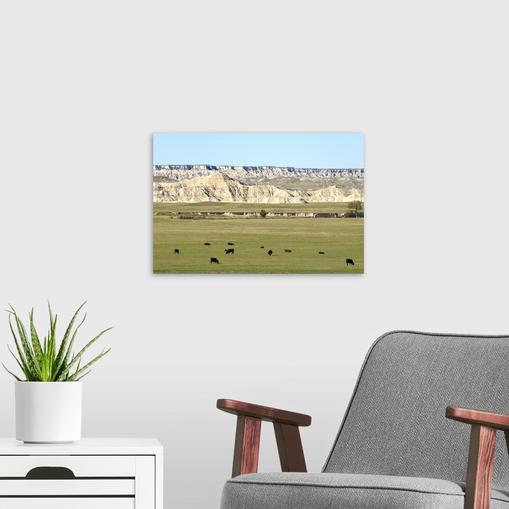 A modern room featuring Badlands National Park, South Dakota