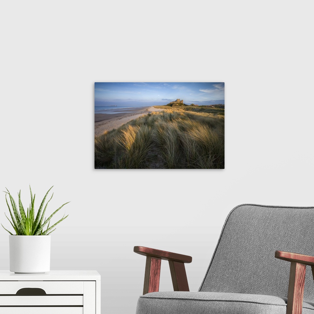 A modern room featuring Looking towards Bamburgh Castle bathed in evening light from the dunes above Bamburgh Beach, Bamb...