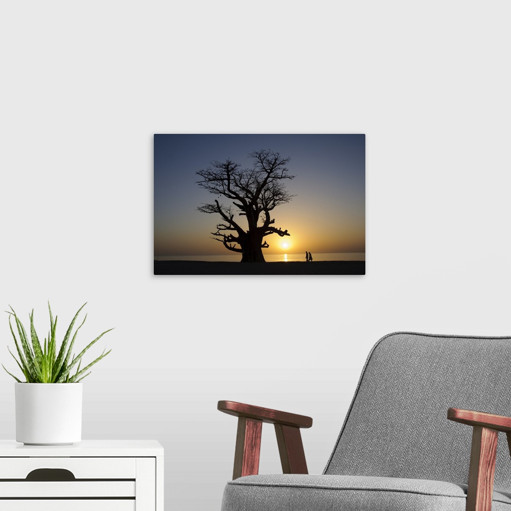 A modern room featuring Baobab tree and couple walking, Sine Saloum Delta, Senegal, West Africa, Africa