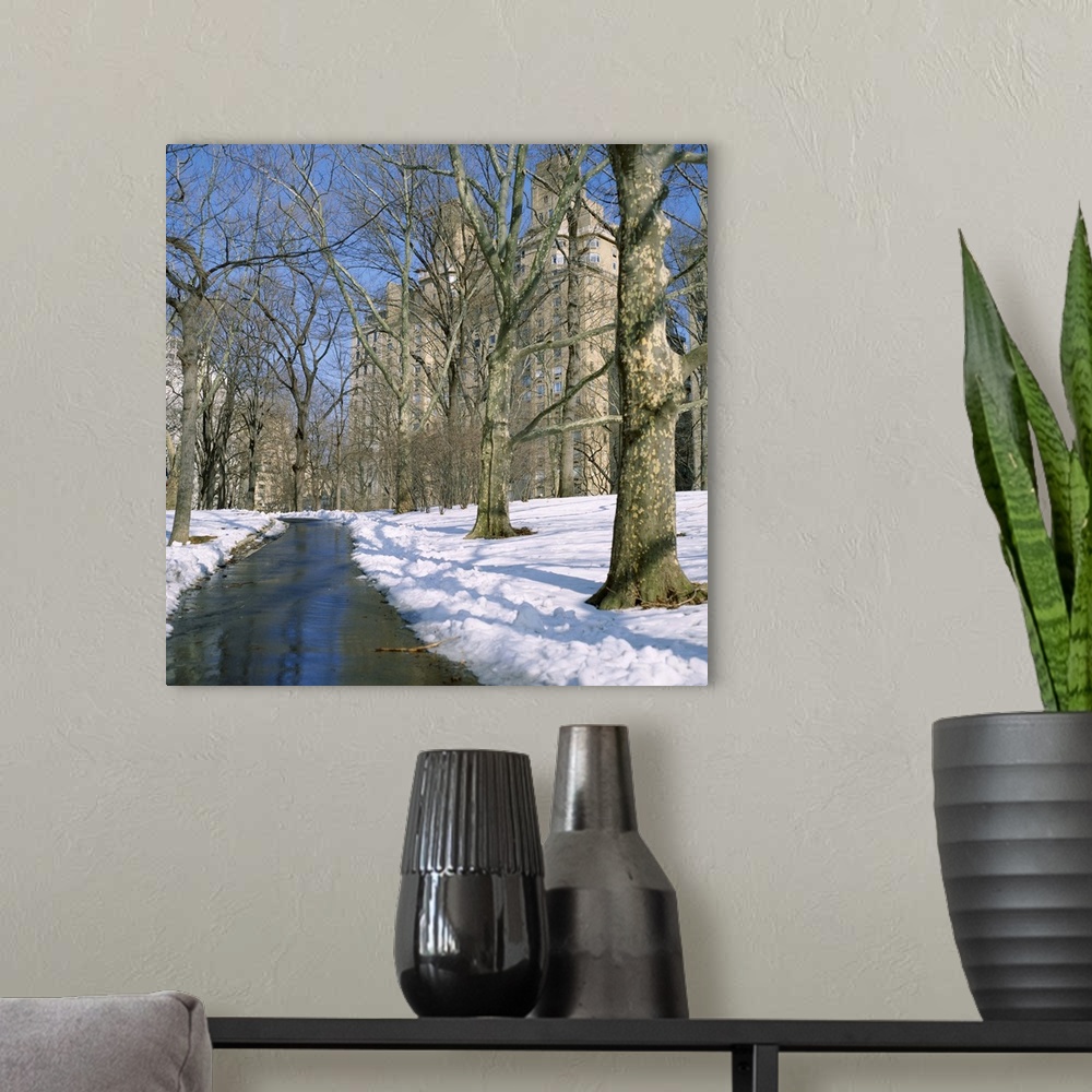 A modern room featuring Bare trees and snow in winter in Central Park, Manhattan, New York City, NY, USA