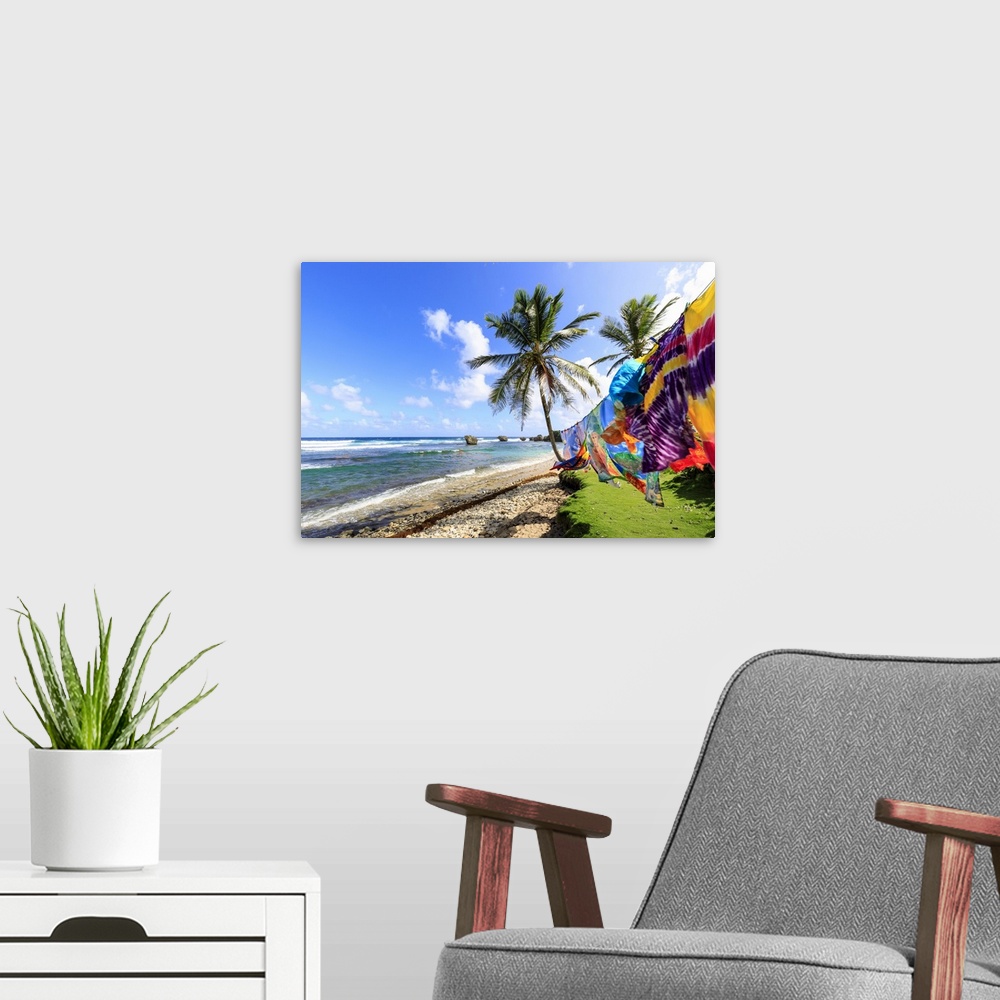 A modern room featuring Bathsheba, colourful garments blow in the breeze, windswept palm trees, Atlantic waves, rugged Ea...