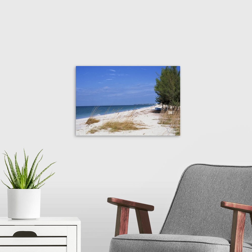 A modern room featuring Beach, Anna Maria Island, Gulf Coast, Florida, USA