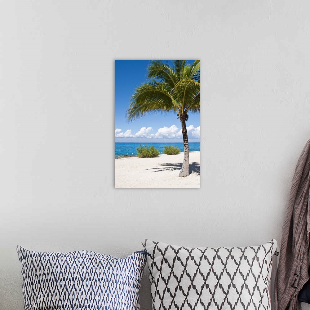 A bohemian room featuring Beach at Chankanaab Park, Isla de Cozumel, Quintana Roo, Mexico