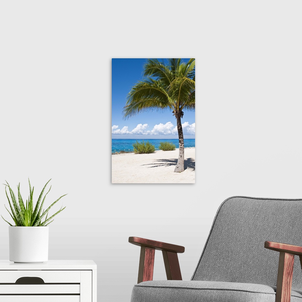 A modern room featuring Beach at Chankanaab Park, Isla de Cozumel, Quintana Roo, Mexico