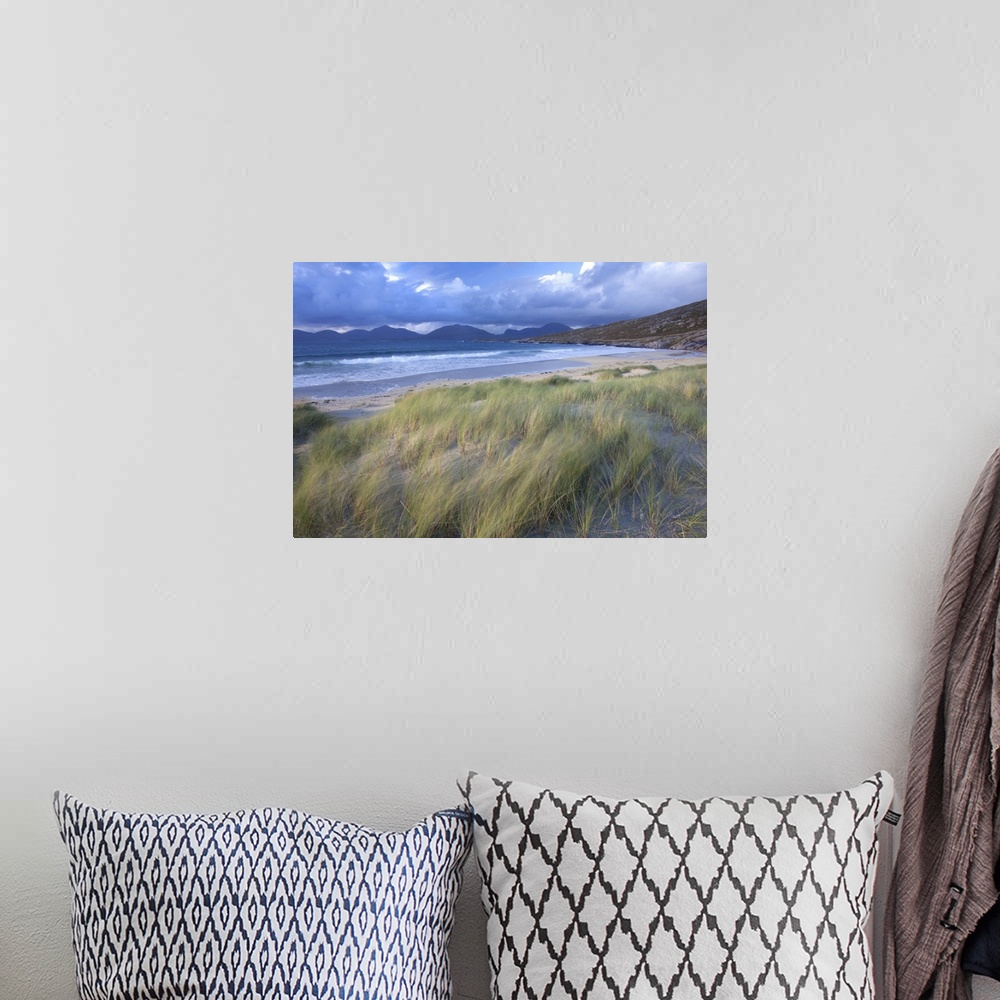 A bohemian room featuring Beach at Luskentyre with dune grasses being blown, Outer Hebrides, Scotland