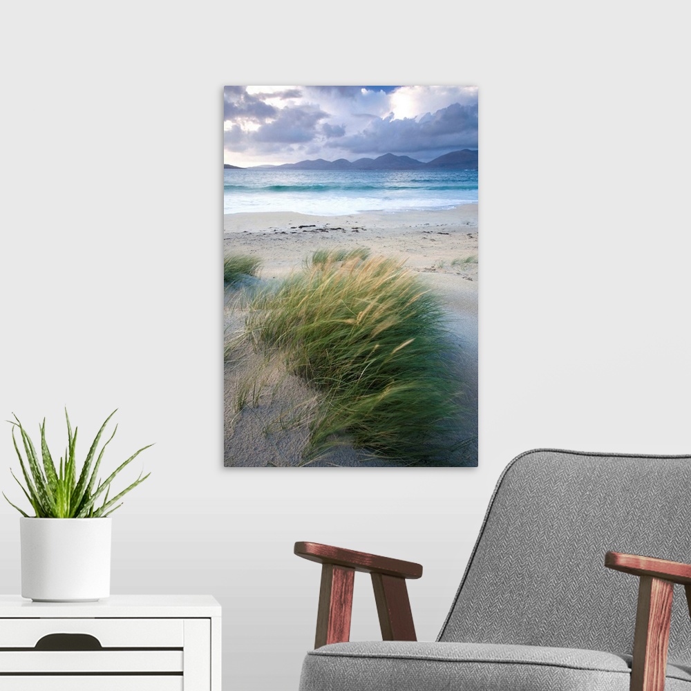 A modern room featuring Beach at Luskentyre with dune grasses blowing, Outer Hebrides, Scotland