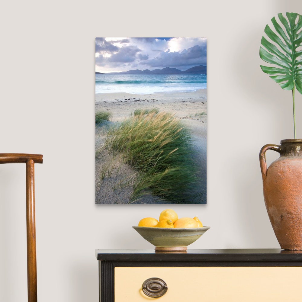 A traditional room featuring Beach at Luskentyre with dune grasses blowing, Outer Hebrides, Scotland