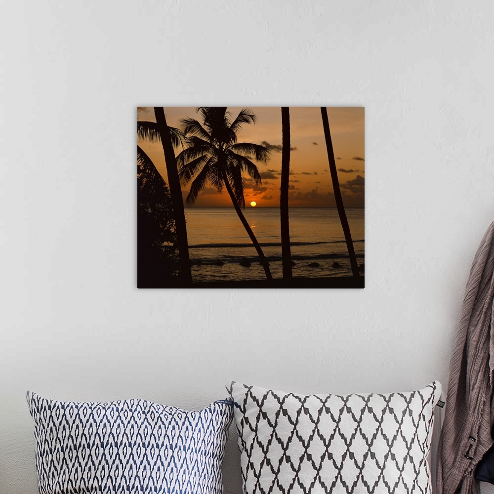 A bohemian room featuring Beach at sunset, Barbados, West Indies, Caribbean, Central America