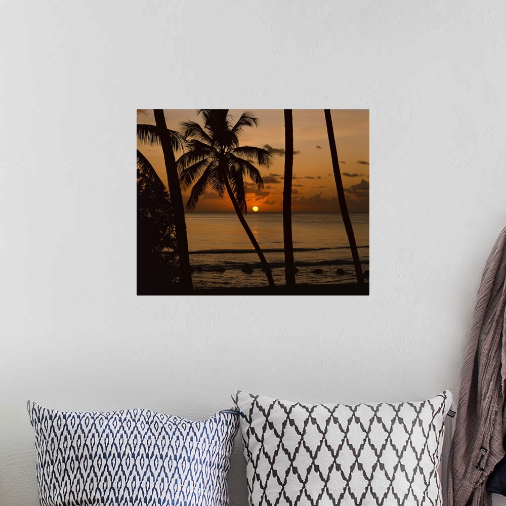 A bohemian room featuring Beach at sunset, Barbados, West Indies, Caribbean, Central America