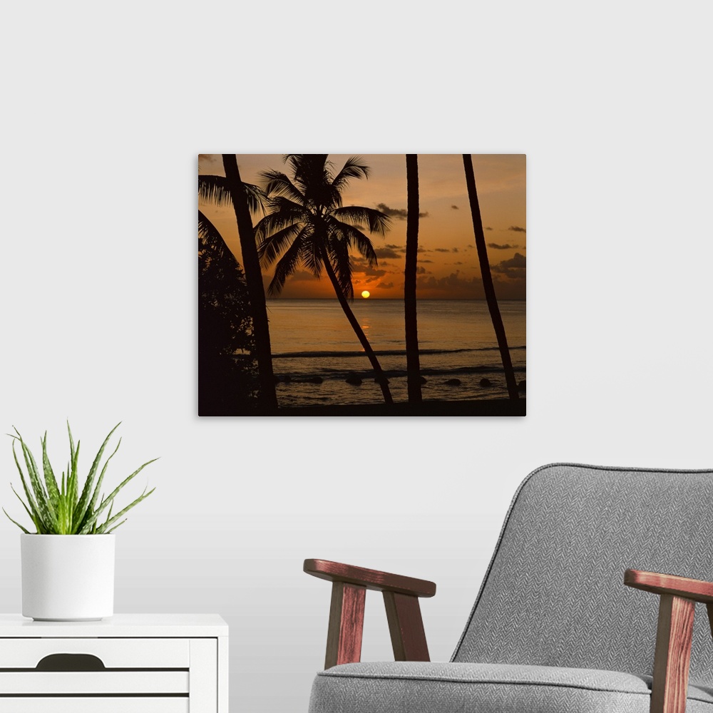 A modern room featuring Beach at sunset, Barbados, West Indies, Caribbean, Central America