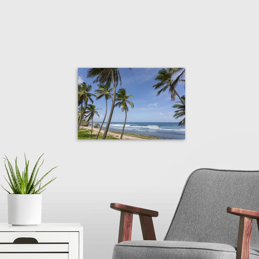 A modern room featuring Beach, Bathsheba, St. Joseph, Barbados, West Indies, Caribbean, Central America