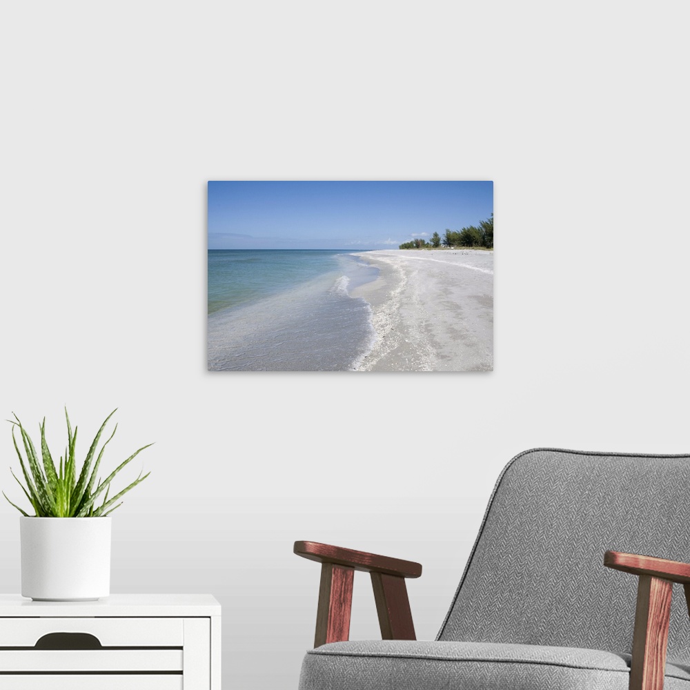 A modern room featuring Beach covered in shells, Captiva Island, Gulf Coast, Florida