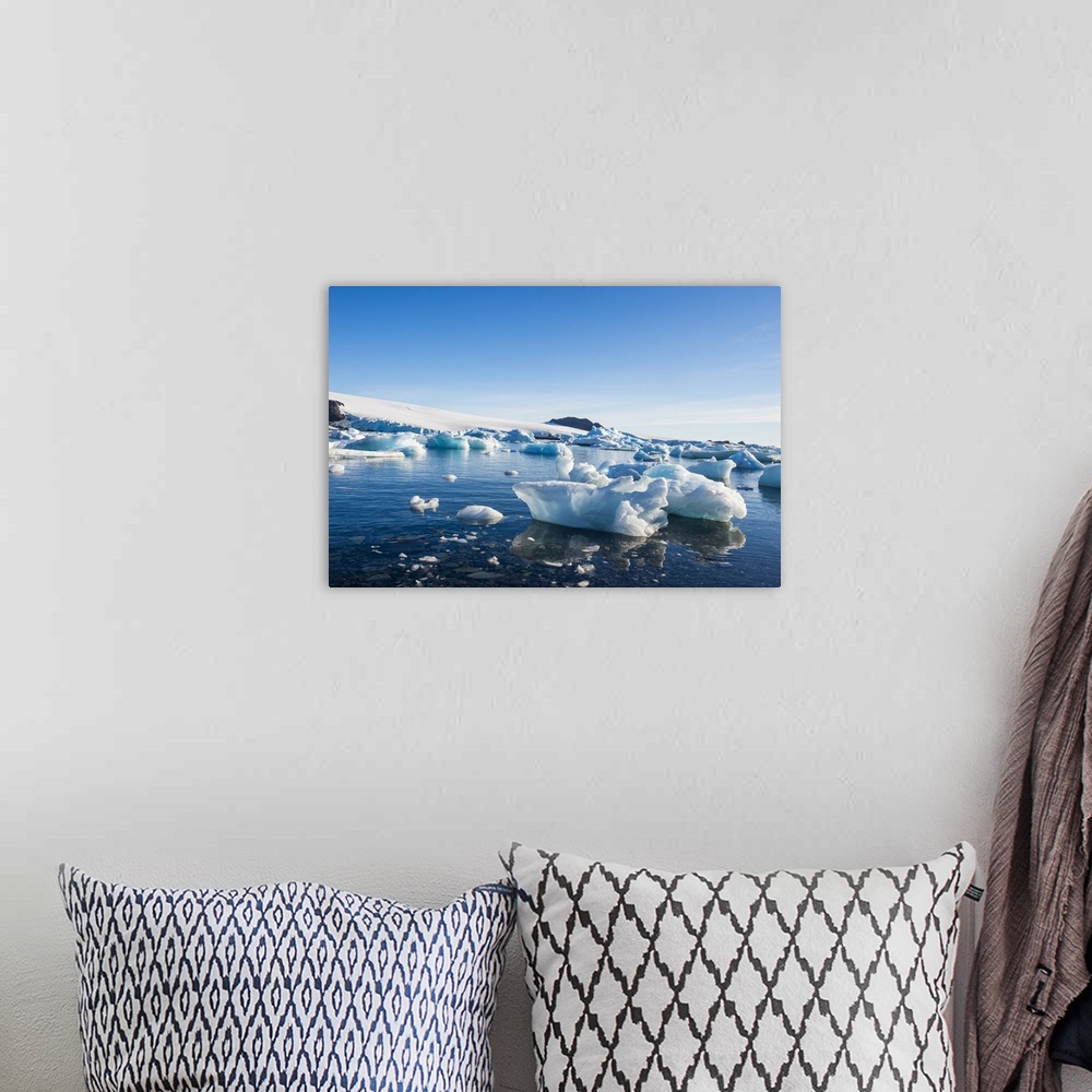 A bohemian room featuring Beautiful little icebergs, Hope Bay, Antarctica, Polar Regions