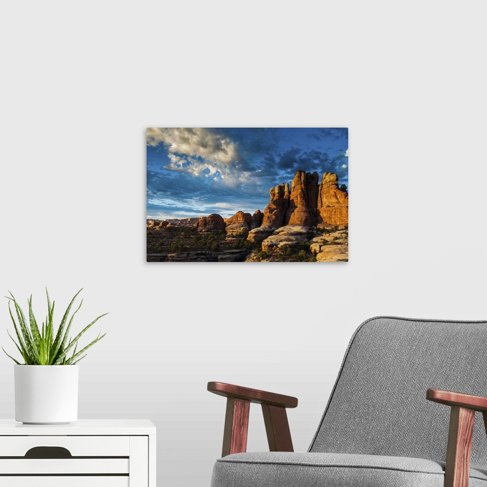 A modern room featuring Beautiful rock formations in the Needles, Canyonlands National Park, Utah