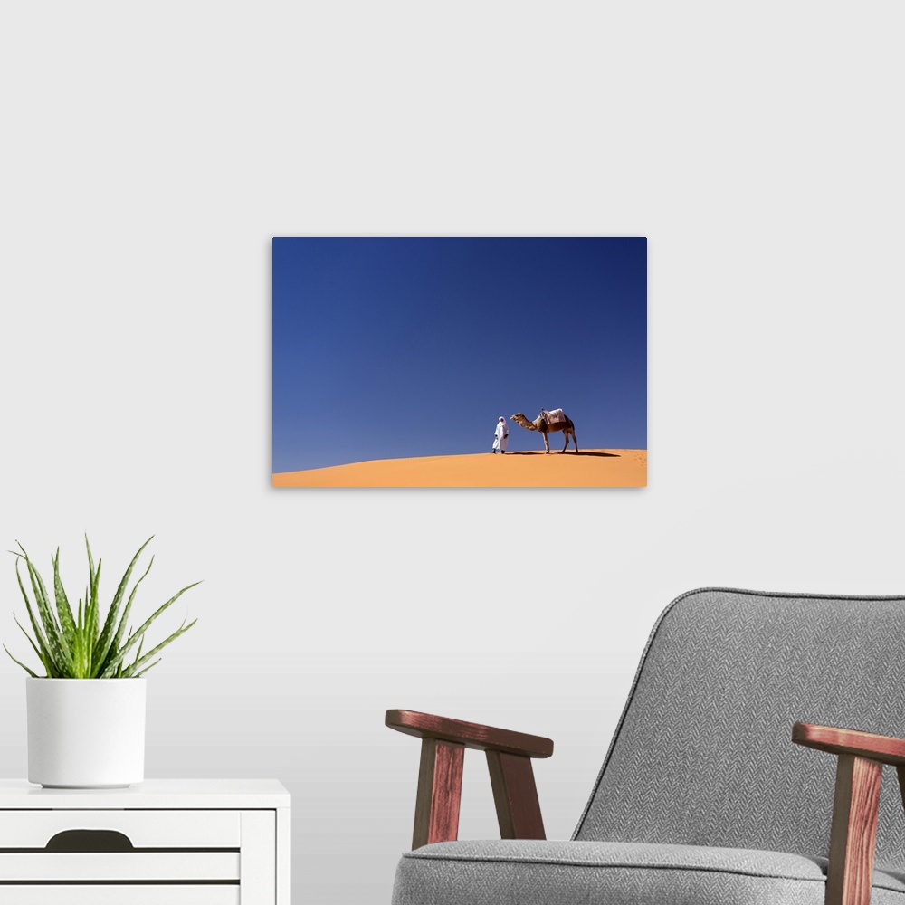 A modern room featuring Berber man with camel on the ridge of an orange sand dune in the Erg Chebbi sand sea, Sahara Dese...