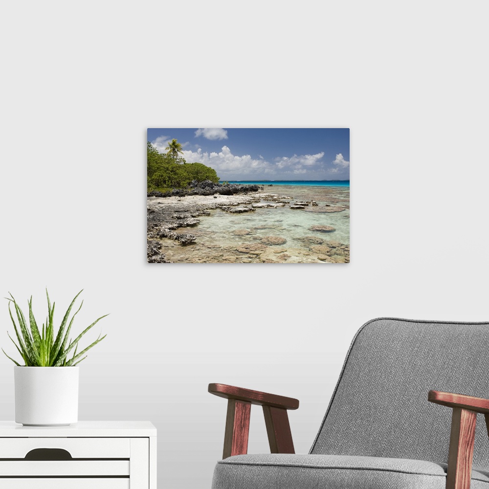 A modern room featuring Bird Island, Tikehau, Tuamotu Archipelago, French Polynesia, Pacific Islands