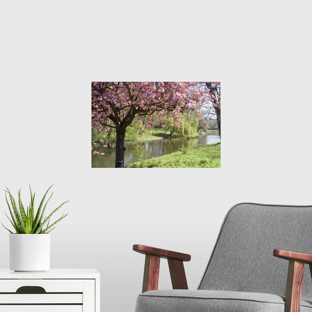 A modern room featuring Blossom, Regents Park, London, England