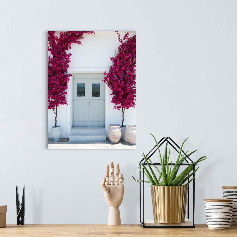 A bohemian room featuring Plastic bougainvillea decoration surrounding a mint coloured door in Naxos city, Naxos, Cyclades,...